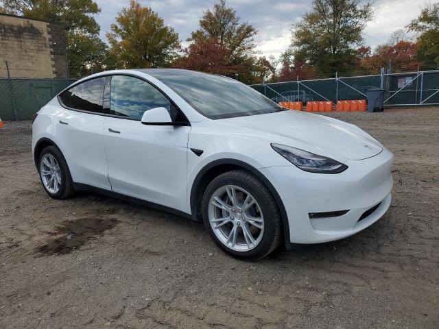 2021 TESLA MODEL Y - 5YJYGDEE7MF106303