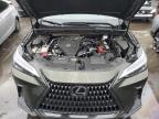 Lot #3296894813 2024 LEXUS NX 350 PRE