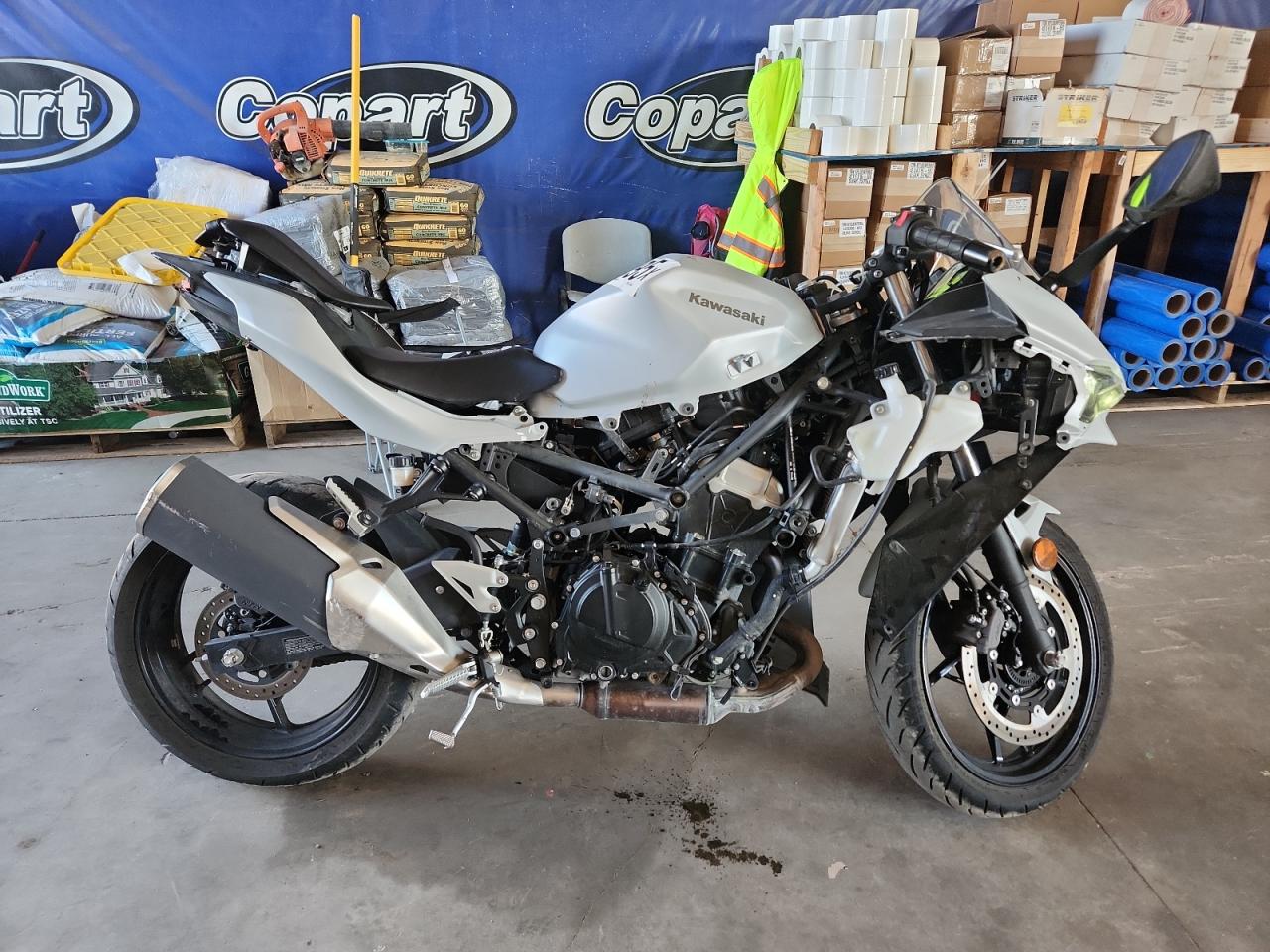 Lot #3275472717 2024 KAWASAKI EX500