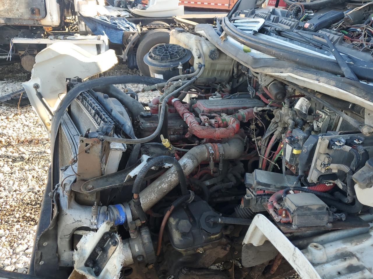 Lot #3284113545 2011 FREIGHTLINER M2 106 MED