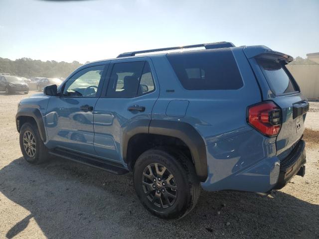 2025 TOYOTA 4RUNNER SR5 JTEVA5BRXS5039174