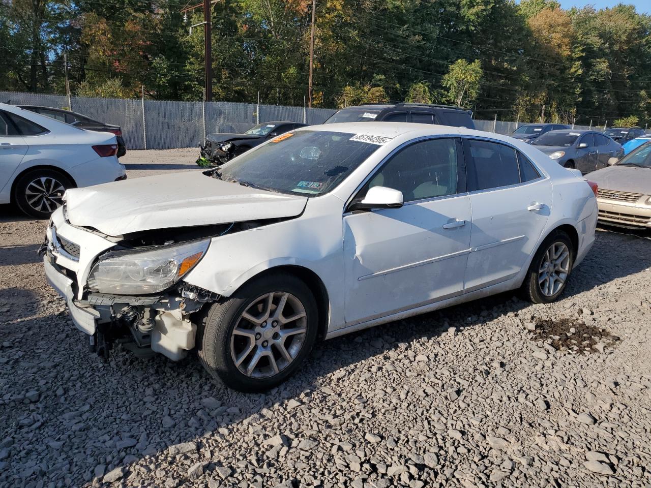 Lot #3293380450 2014 CHEVROLET MALIBU 1LT