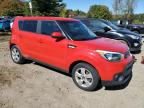 Lot #3309366978 2019 KIA SOUL