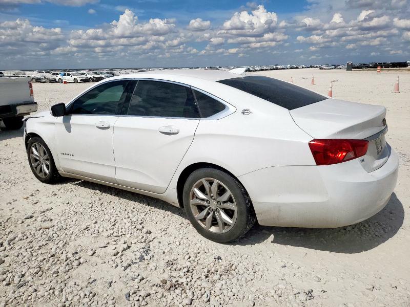 2019 CHEVROLET IMPALA LT - 1G11Z5S31KU120182