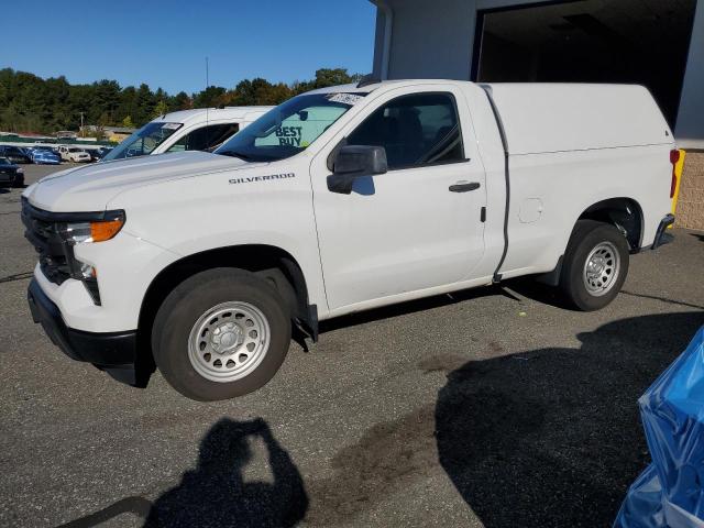 Global Auto Auctions: 2023 CHEVROLET SILVERADO C1500