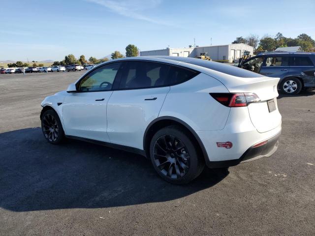 2023 TESLA MODEL Y - 7SAYGDEE6PF676283