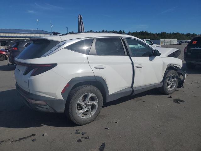 2023 HYUNDAI TUCSON SEL - 5NMJBCAE5PH240553