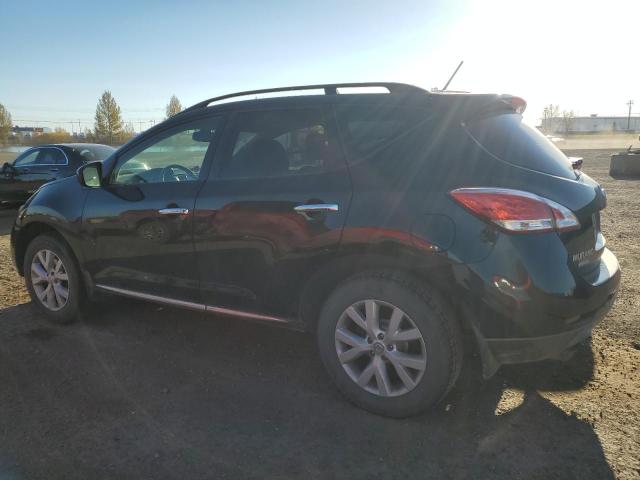 2013 NISSAN MURANO S - JN8AZ1MW2DW306624