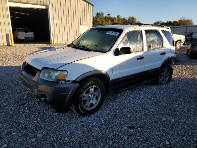 Global Auto Auctions: 2005 FORD ESCAPE XLT