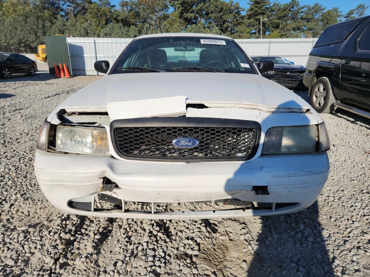 Global Auto Auctions