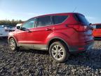 Lot #3304752941 2019 FORD ESCAPE SE