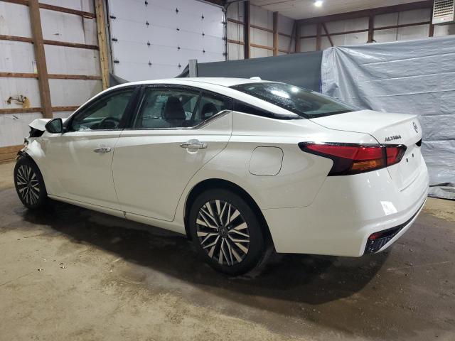 2025 NISSAN ALTIMA SV 1N4BL4DV5SN379828