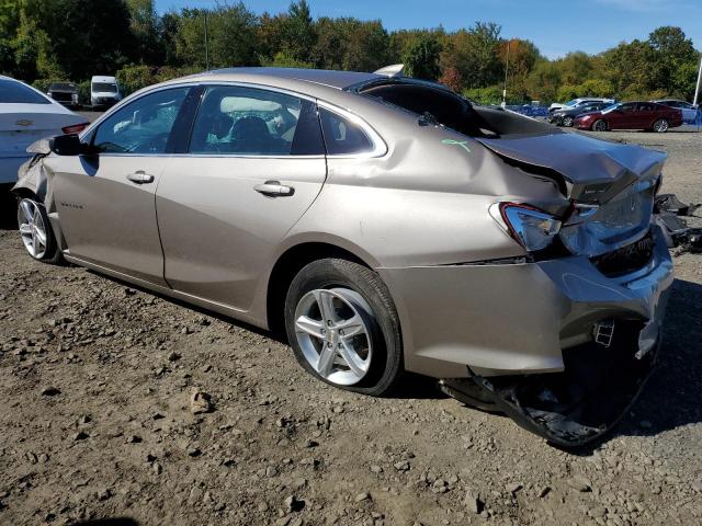 CHEVROLET MALIBU LT 2023 gold  gas 1G1ZD5ST2PF240215 photo #3