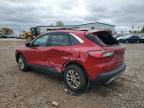 Lot #3303725428 2022 FORD ESCAPE SE