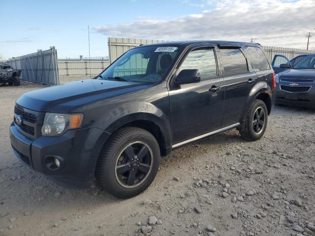 2012 FORD ESCAPE XLT - 1FMCU0DG1CKB26462