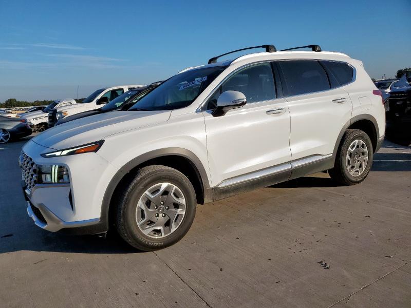 Global Auto Auctions: 2022 HYUNDAI SANTA FE B