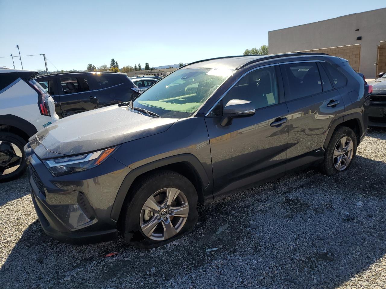 TOYOTA RAV4 XLE