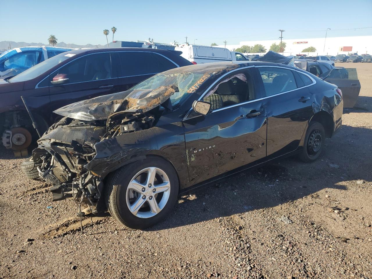 Lot #3317721073 2023 CHEVROLET MALIBU LT