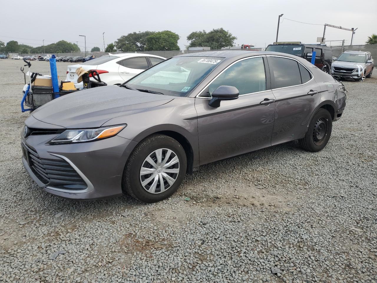 TOYOTA CAMRY LE