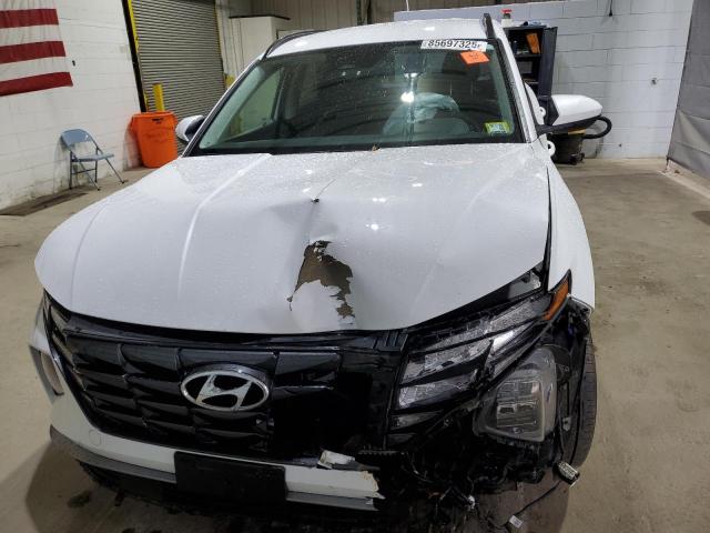 2024 HYUNDAI TUCSON BLU #3291422134