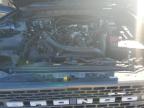 Lot #3294442530 2023 FORD BRONCO BAS