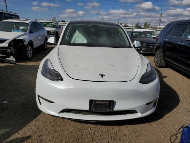 2023 TESLA MODEL Y #3297219387