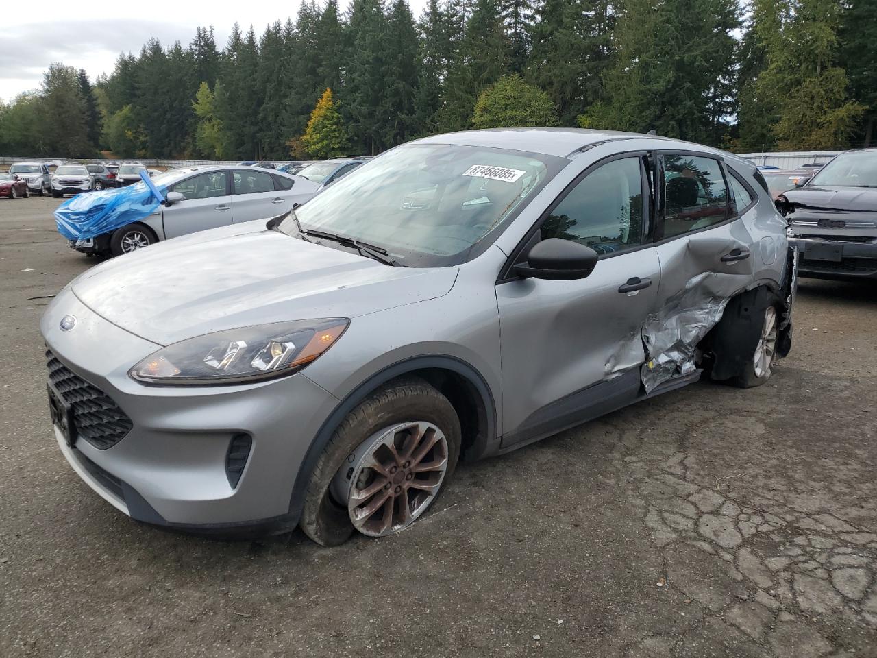 Lot #3277157943 2022 FORD ESCAPE S