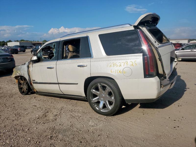 2015 CADILLAC ESCALADE P - 1GYS4CKJXFR201066