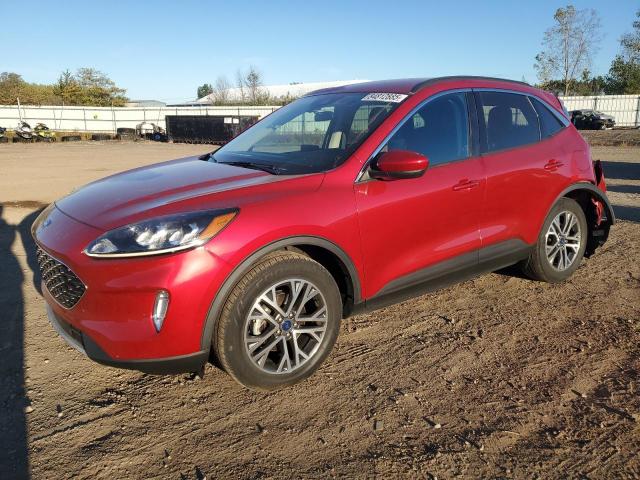 Global Auto Auctions: 2020 FORD ESCAPE SEL