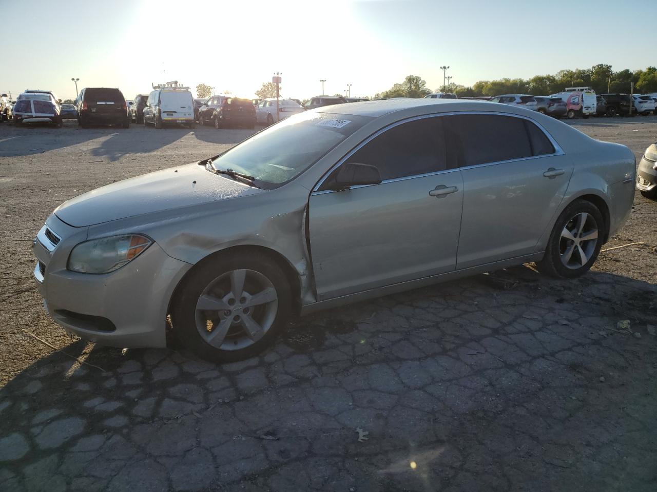 Lot #3264570926 2010 CHEVROLET MALIBU LS