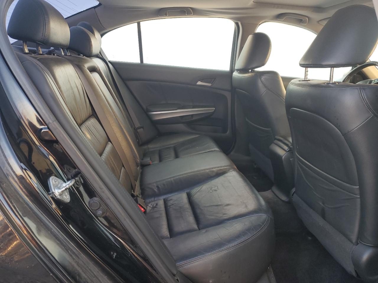 Lot #3275550044 2009 HONDA ACCORD EXL