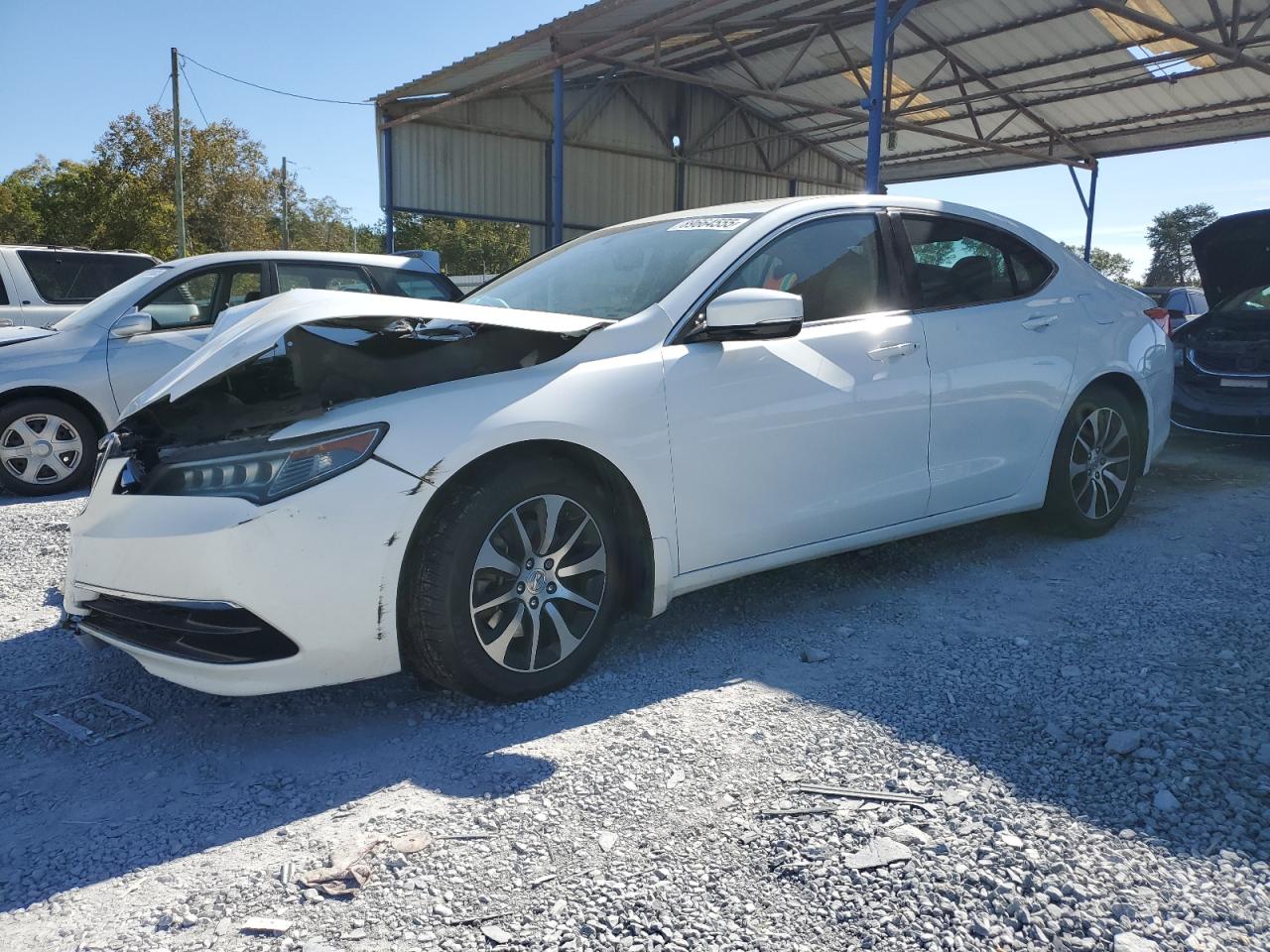 ACURA TLX