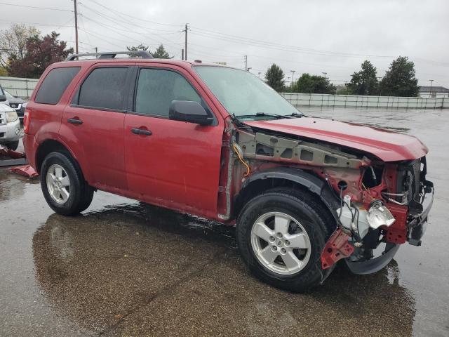 2011 FORD ESCAPE XLT - 1FMCU0D7XBKC50499