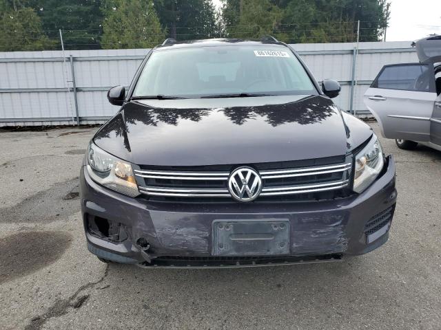 2016 VOLKSWAGEN TIGUAN S WVGBV7AX4GW566499