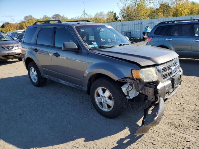 2011 FORD ESCAPE XLT - 1FMCU9D75BKB92063