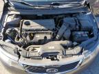 Lot #3302663068 2013 KIA FORTE EX