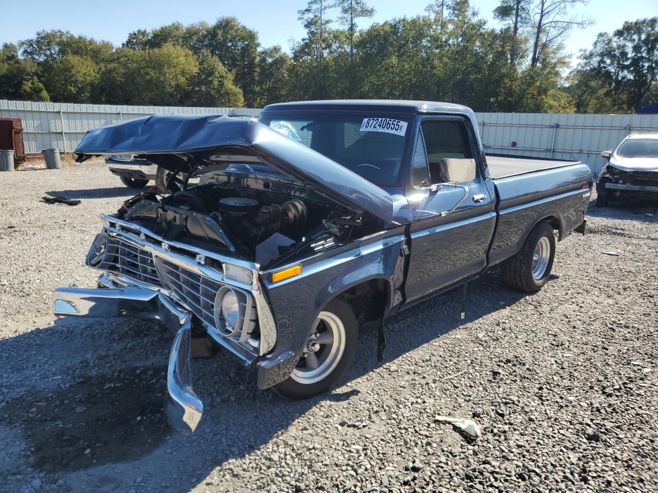 Lot #3279776292 1974 FORD F-100