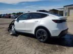 Lot #3297861790 2026 TESLA MODEL Y