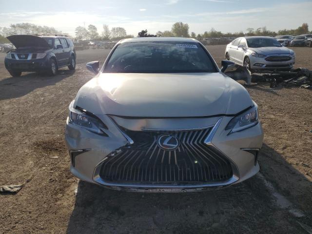 2019 LEXUS ES 350 - 58ABZ1B15KU022036