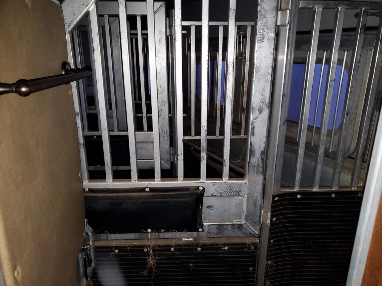 Lot #3285721670 2019 PLTM 5HMX