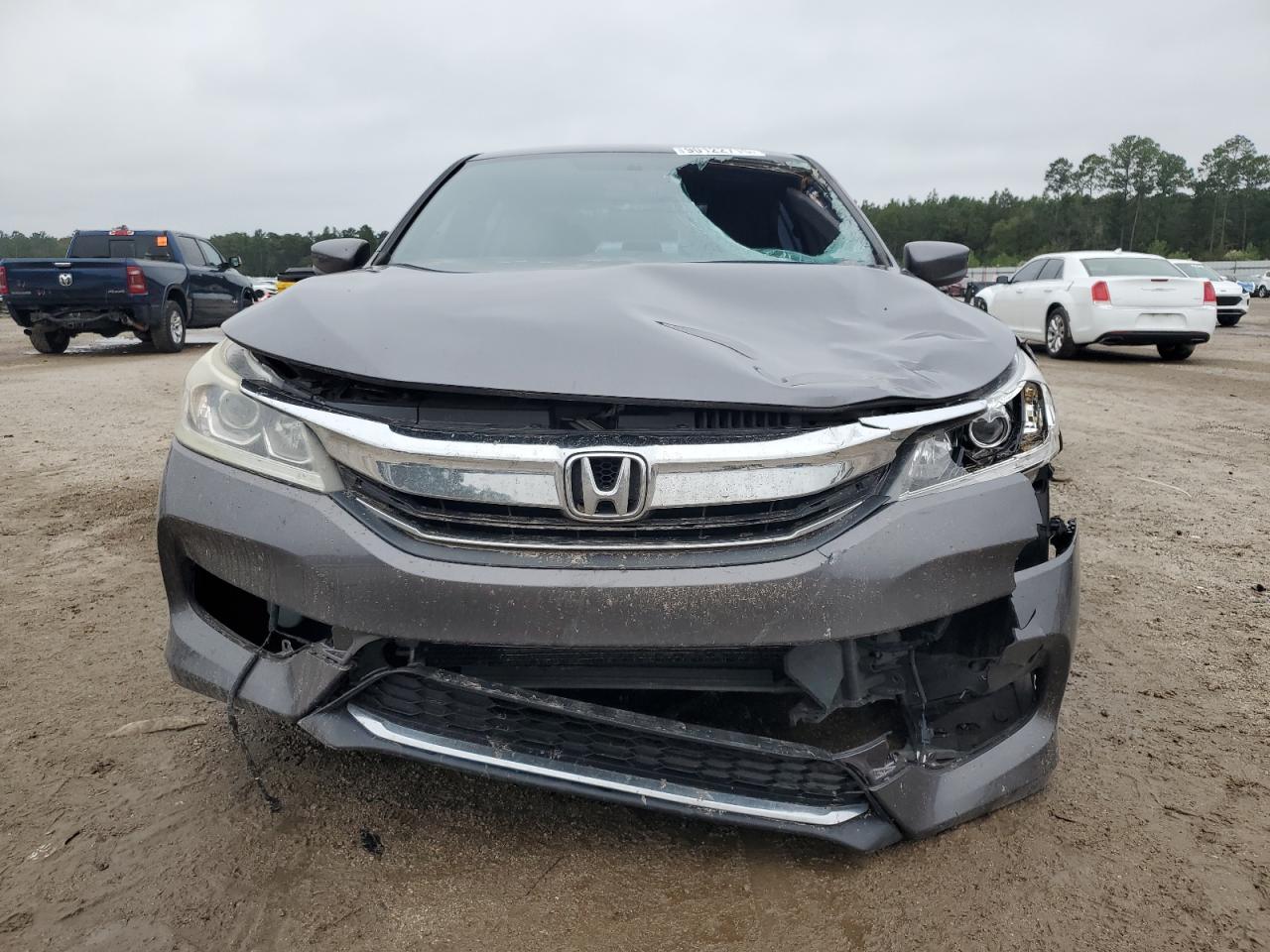 HONDA ACCORD SPORT SPECIAL EDITION