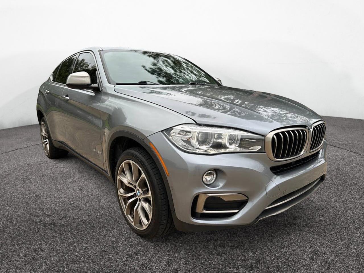 BMW X6 SDRIVE35I