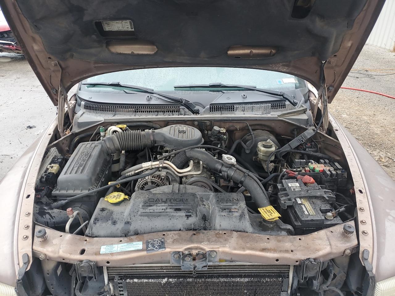 Lot #3281662388 2000 DODGE DAKOTA