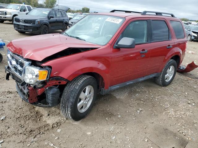 Global Auto Auctions: 2010 FORD ESCAPE XLT