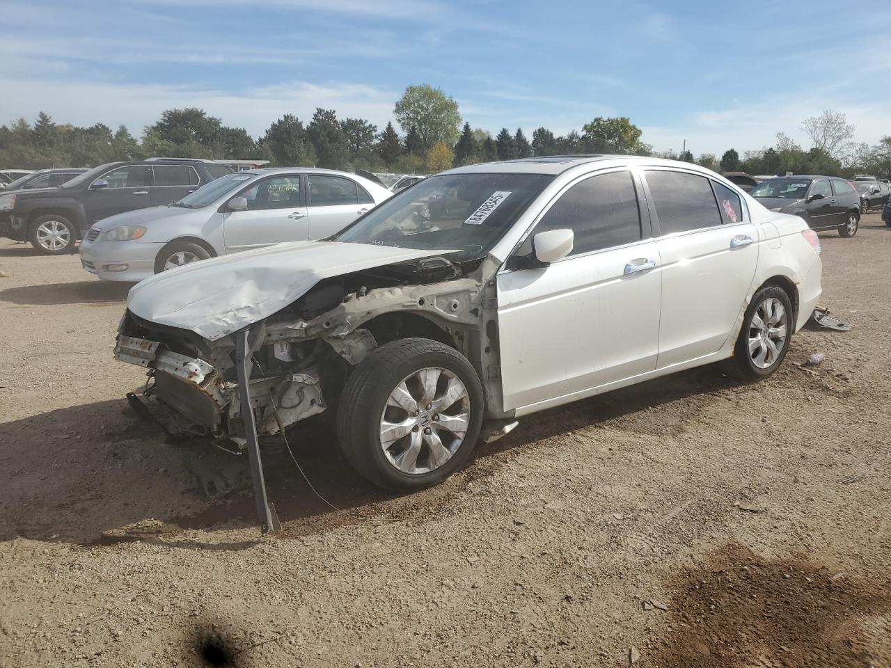Lot #3304524438 2010 HONDA ACCORD EXL