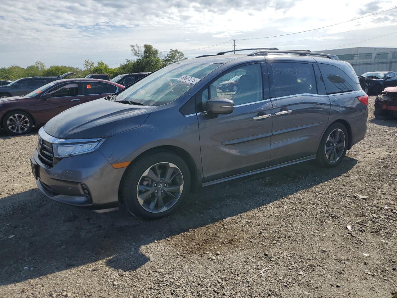 HONDA ODYSSEY ELITE