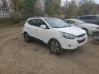 Lot #3304607440 2015 HYUNDAI TUCSON LIM