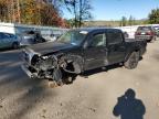 Lot #3304645972 2011 TOYOTA TACOMA DOU