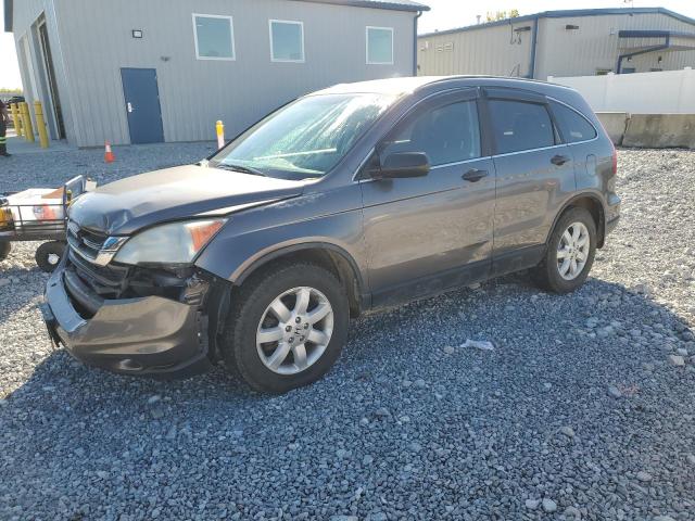 Global Auto Auctions: 2011 HONDA CR-V SE