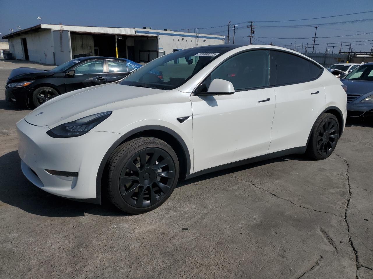 Lot #3308645499 2023 TESLA MODEL Y